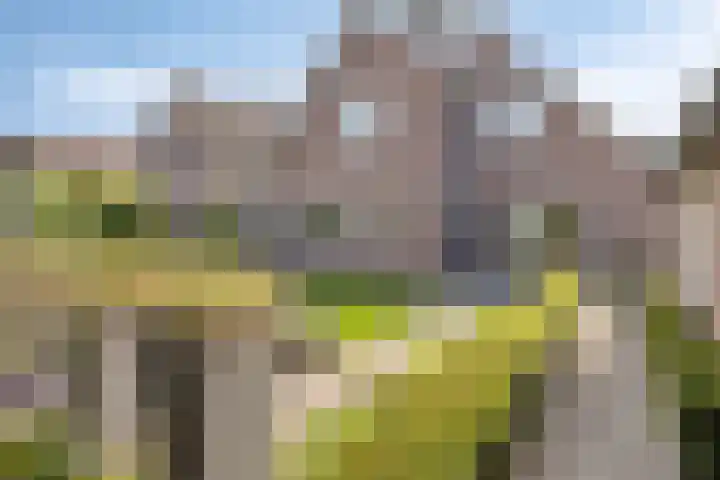 Kraaienest 9 Oss thumbnail 38