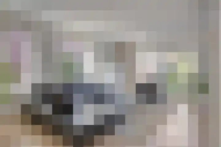 Kraaienest 9 Oss thumbnail 4