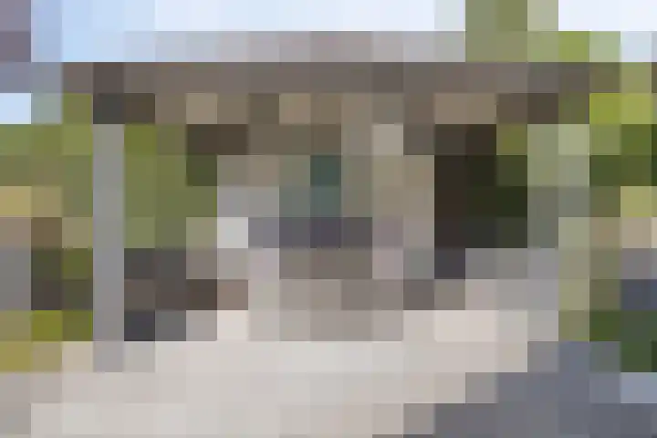 Kraaienest 9 Oss thumbnail 41