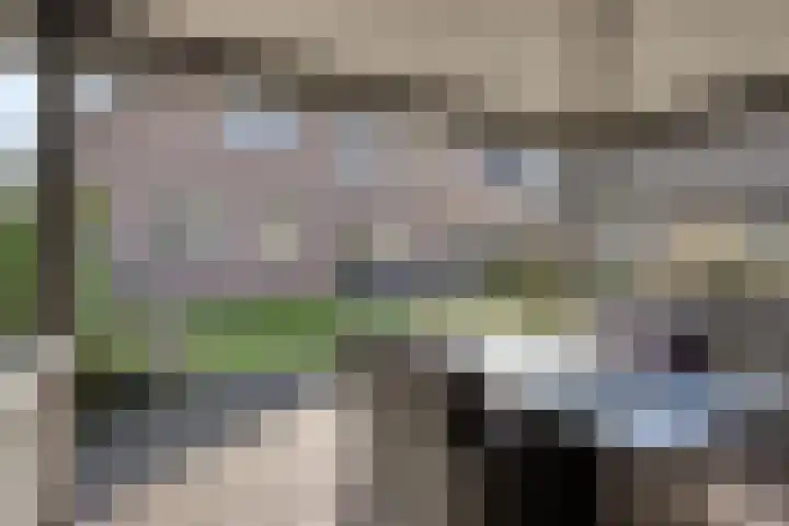 Kraaienest 9 Oss thumbnail 42