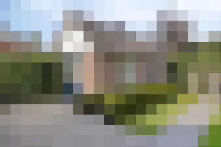Kraaienest 9 Oss thumbnail 44
