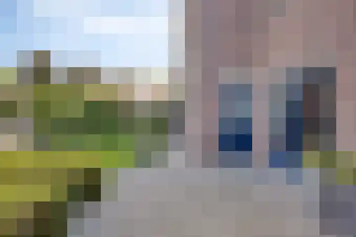 Kraaienest 9 Oss thumbnail 46
