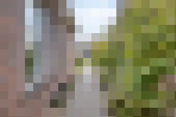 Kraaienest 9 Oss thumbnail 47