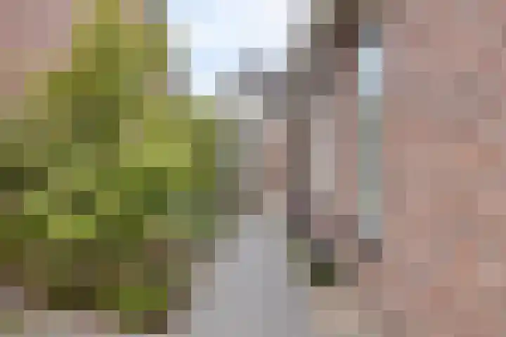 Kraaienest 9 Oss thumbnail 48