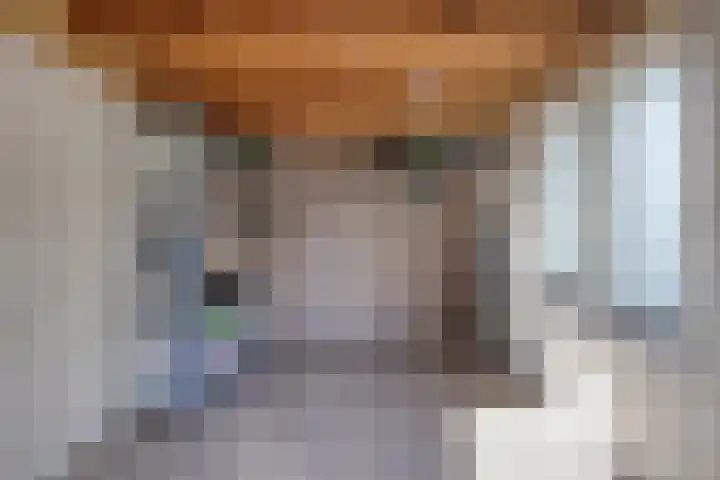 Kraaienest 9 Oss thumbnail 49