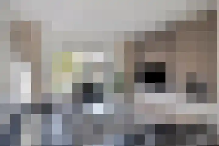 Kraaienest 9 Oss thumbnail 5