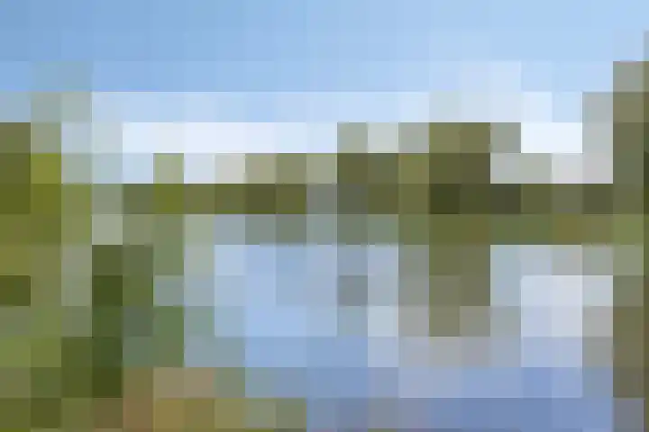 Kraaienest 9 Oss thumbnail 52