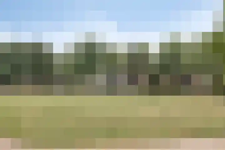 Kraaienest 9 Oss thumbnail 53