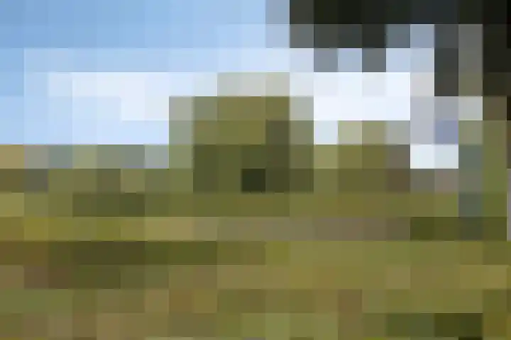 Kraaienest 9 Oss thumbnail 54
