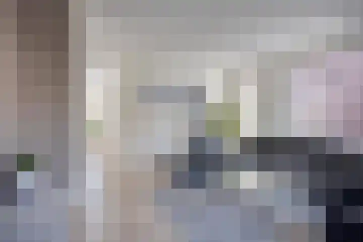 Kraaienest 9 Oss thumbnail 6