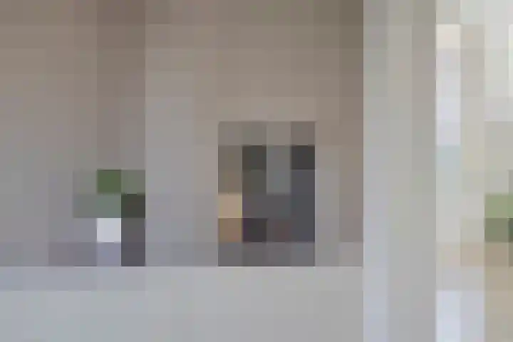 Kraaienest 9 Oss thumbnail 7