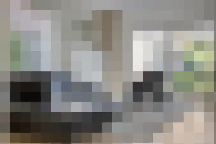 Kraaienest 9 Oss thumbnail 8