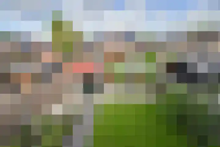 Kraaienhof 21 Varsseveld thumbnail 30