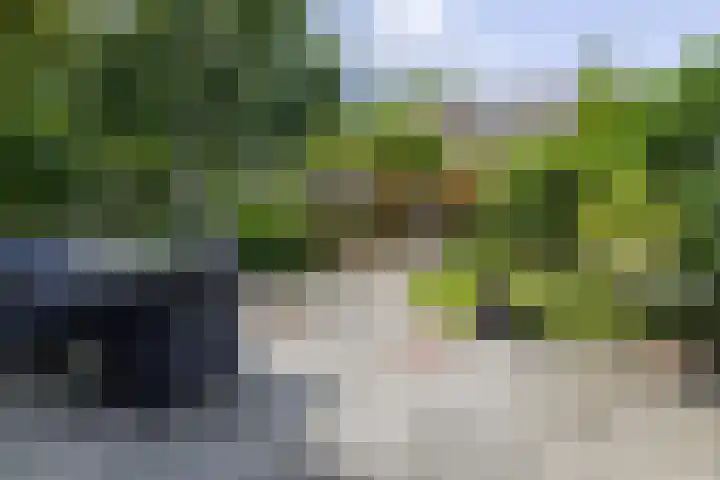 Kraaienhof 41 Gennep thumbnail 30
