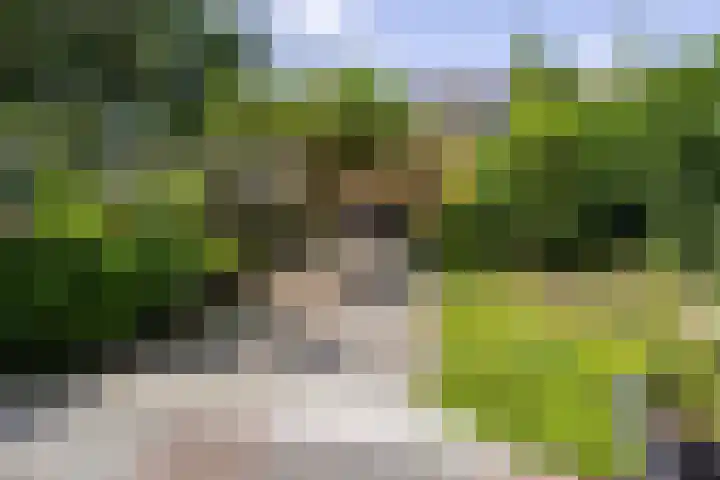 Kraaienhof 41 Gennep thumbnail 31