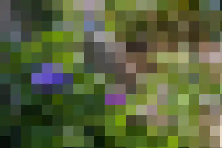 Kraaienhof 41 Gennep thumbnail 32
