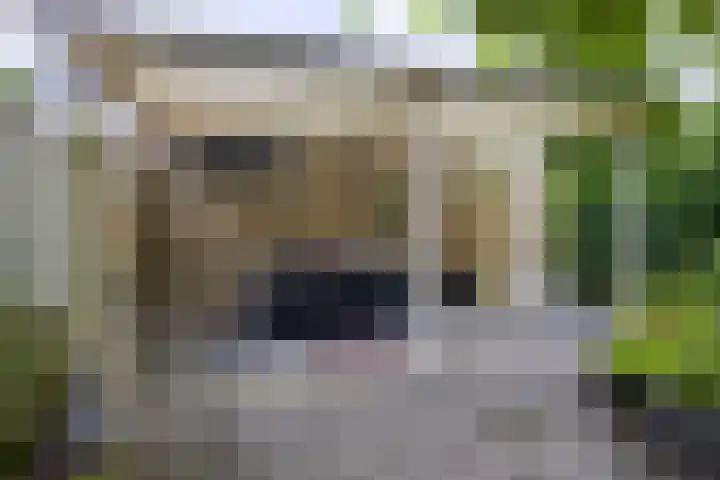 Kraaienhof 41 Gennep thumbnail 36