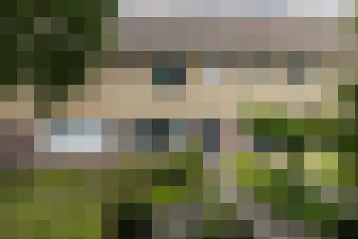Kraaienhof 41 Gennep thumbnail 40