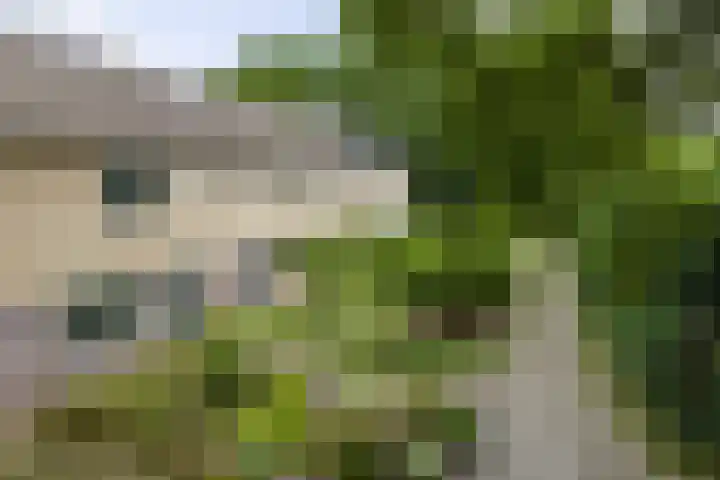 Kraaienhof 41 Gennep thumbnail 41