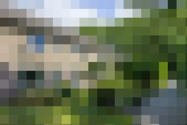Kraaienhof 41 Gennep thumbnail 45