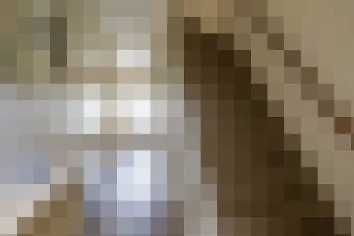 Kraaienhof 41 Gennep thumbnail 6