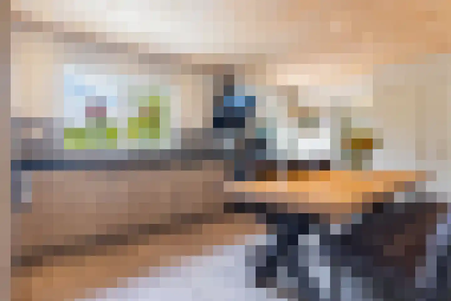 Kraaienjagersweg 12 Beemte Broekland thumbnail 11