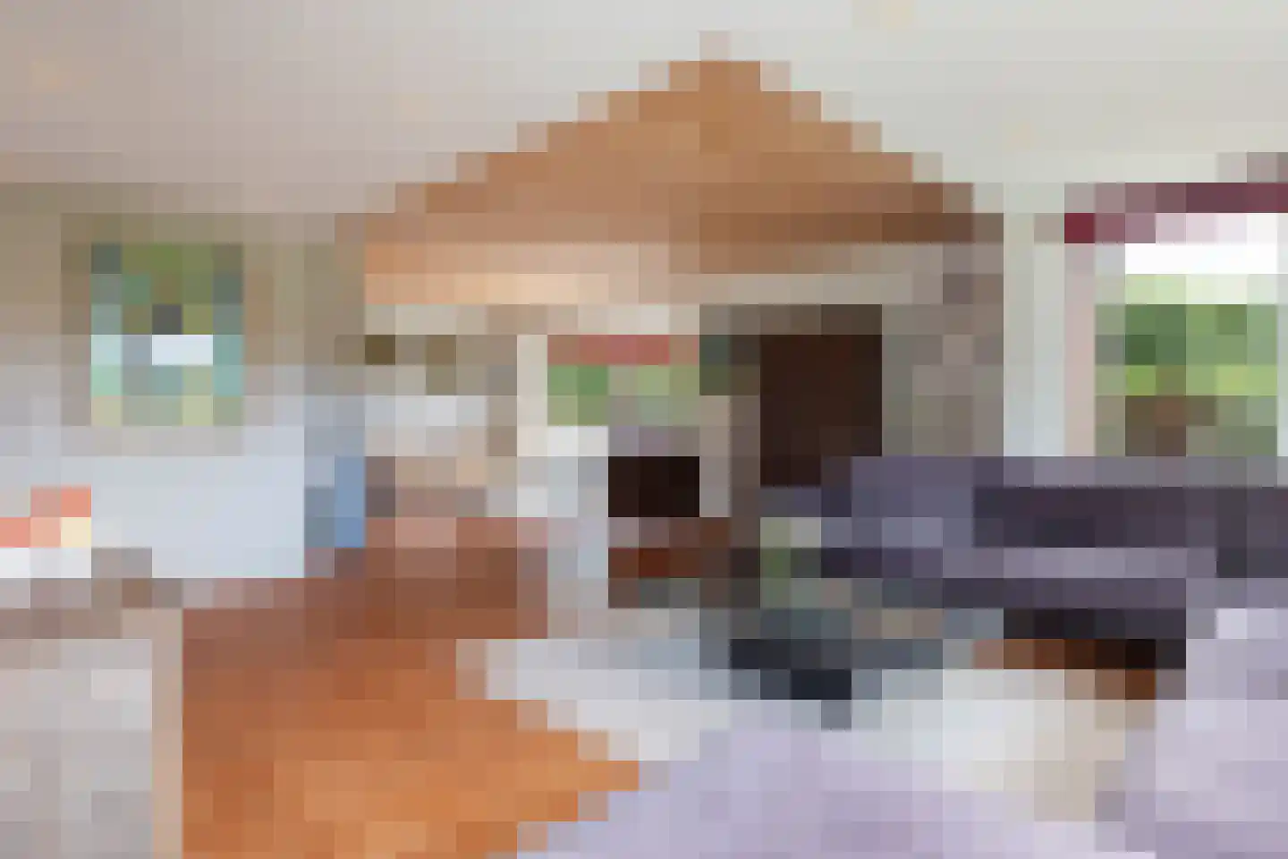 Kraaienjagersweg 12 Beemte Broekland thumbnail 13