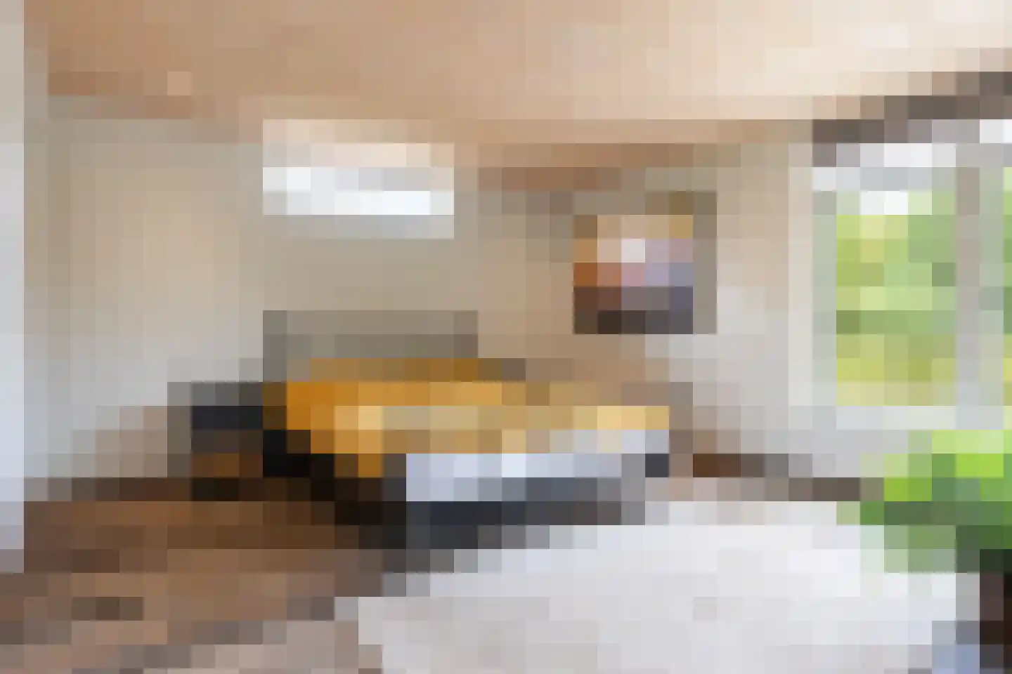 Kraaienjagersweg 12 Beemte Broekland thumbnail 29