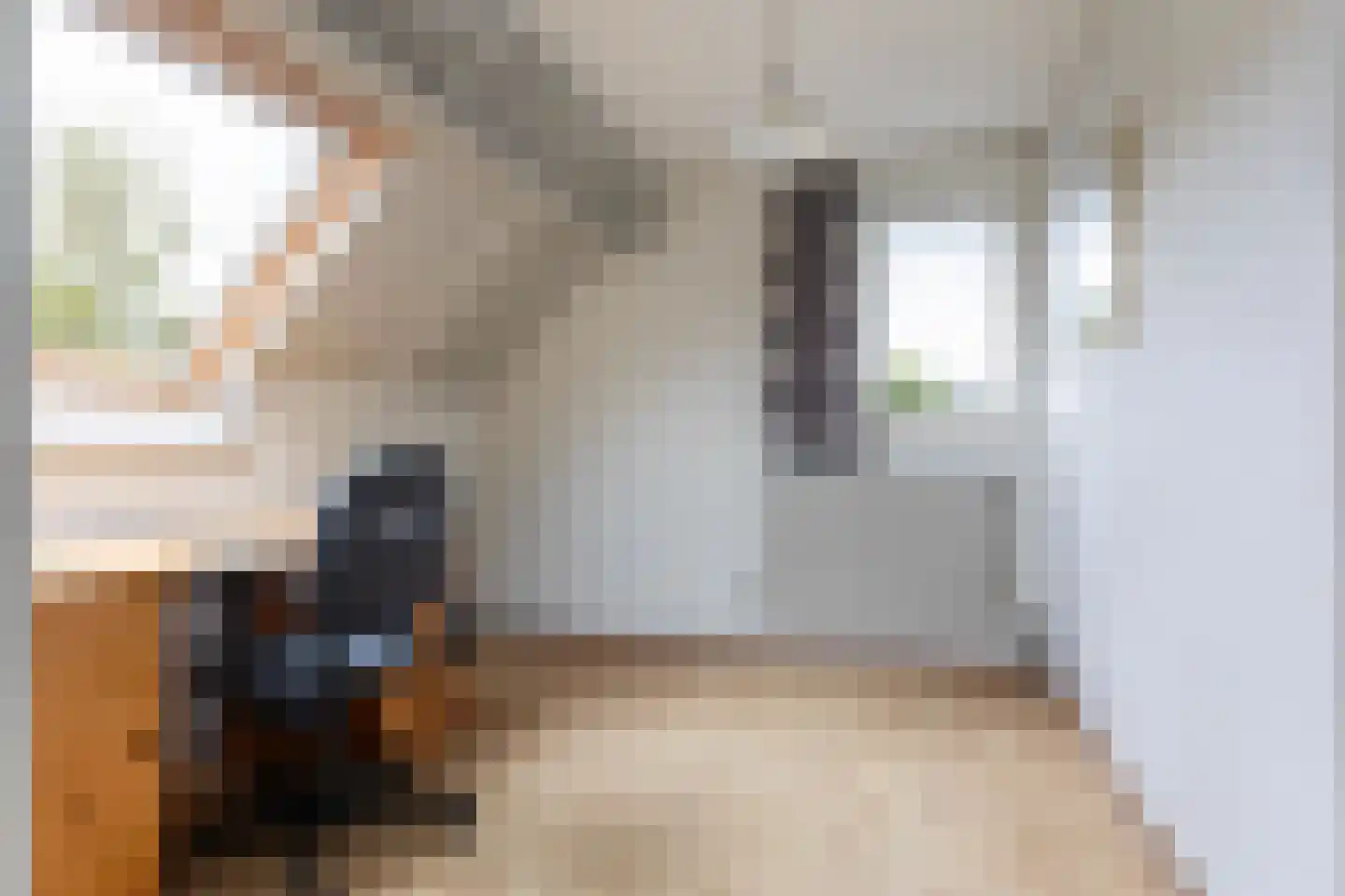 Kraaienjagersweg 12 Beemte Broekland thumbnail 43