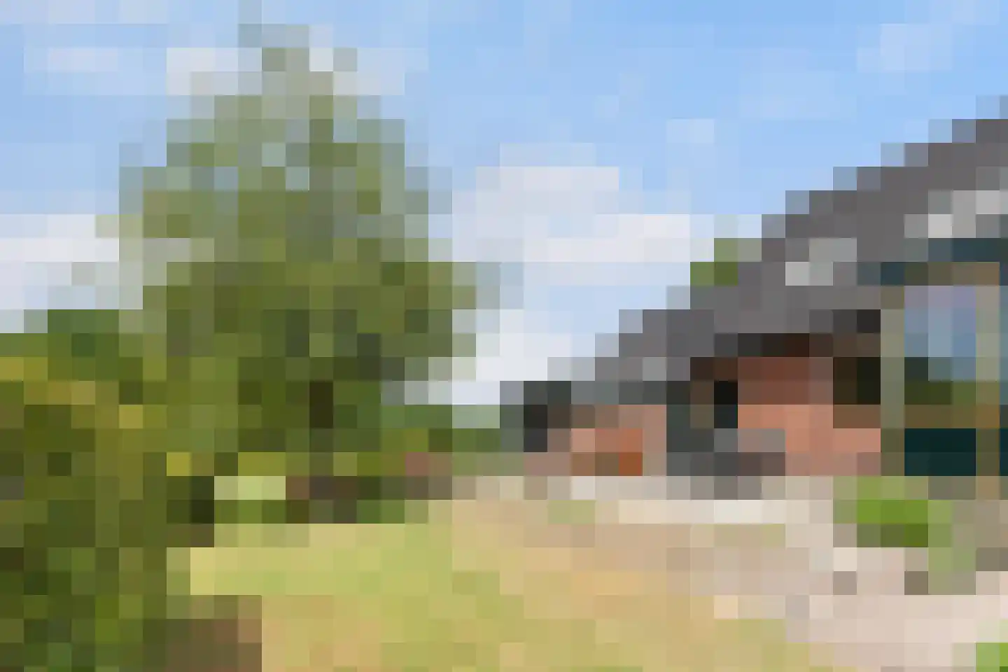 Kraaienjagersweg 12 Beemte Broekland thumbnail 45