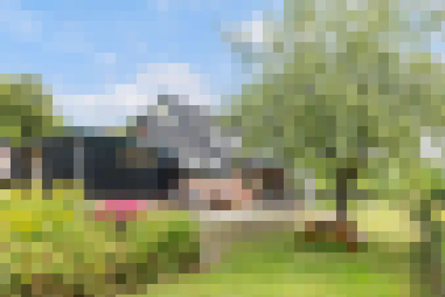 Kraaienjagersweg 12 Beemte Broekland thumbnail 46
