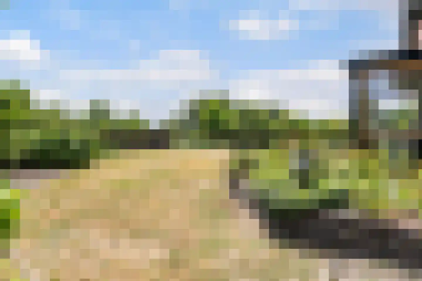 Kraaienjagersweg 12 Beemte Broekland thumbnail 52