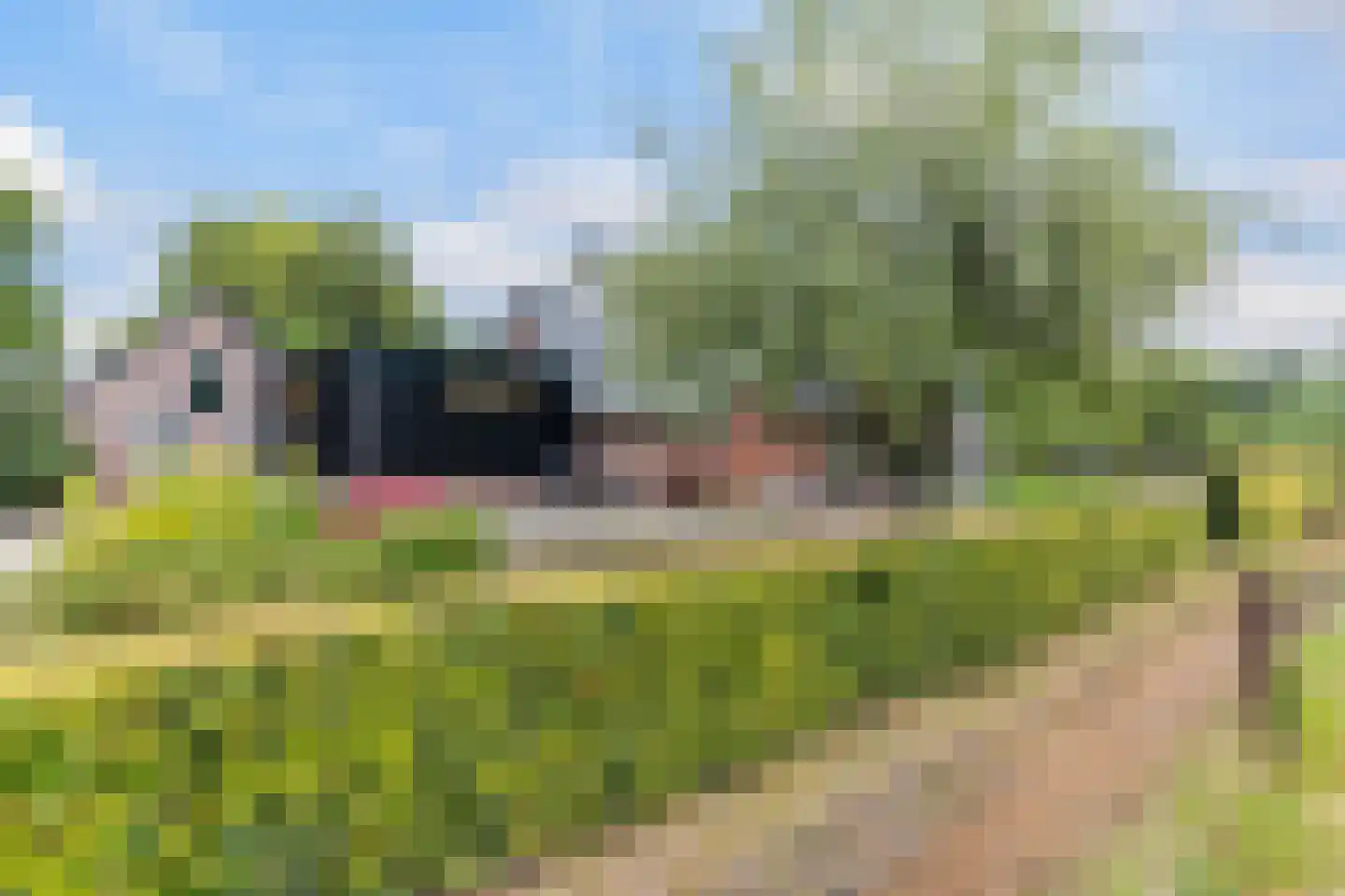 Kraaienjagersweg 12 Beemte Broekland thumbnail 58