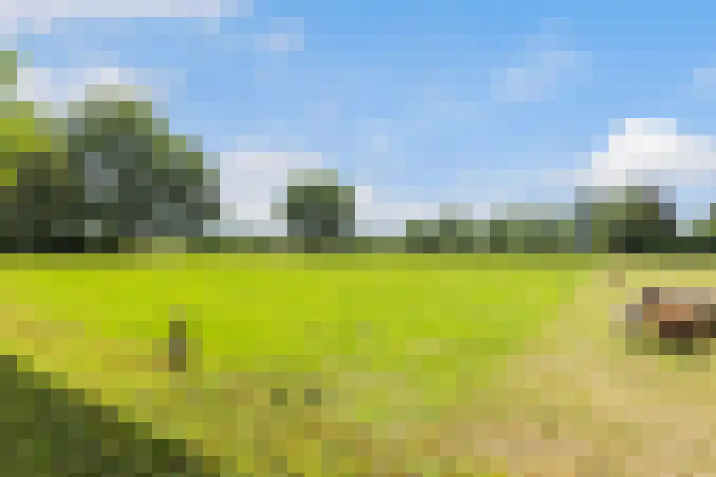 Kraaienjagersweg 12 Beemte Broekland thumbnail 64