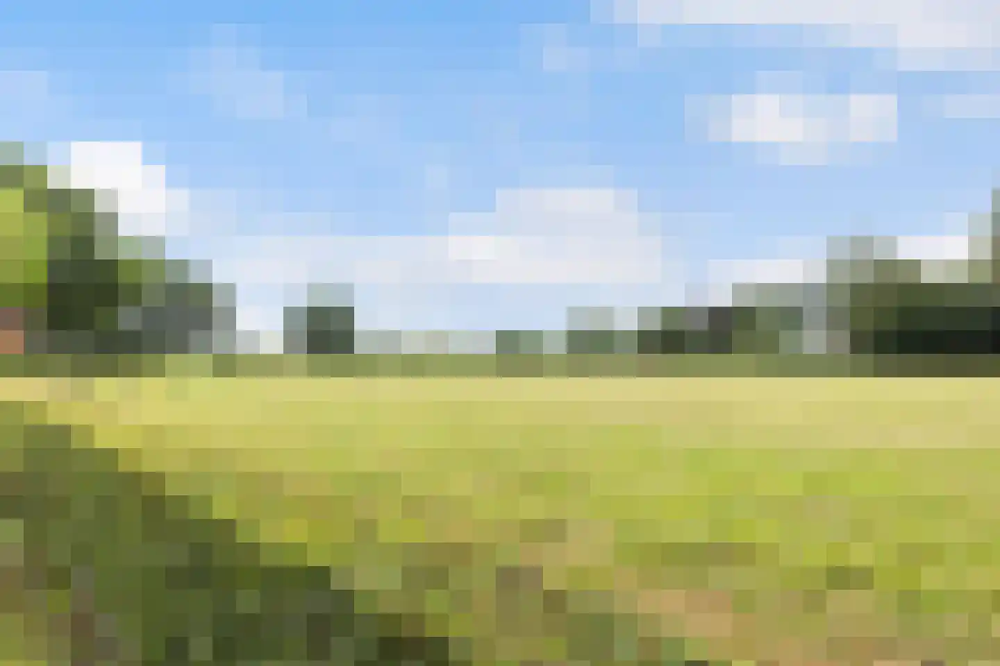 Kraaienjagersweg 12 Beemte Broekland thumbnail 65