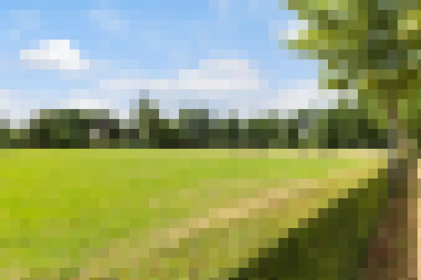 Kraaienjagersweg 12 Beemte Broekland thumbnail 67