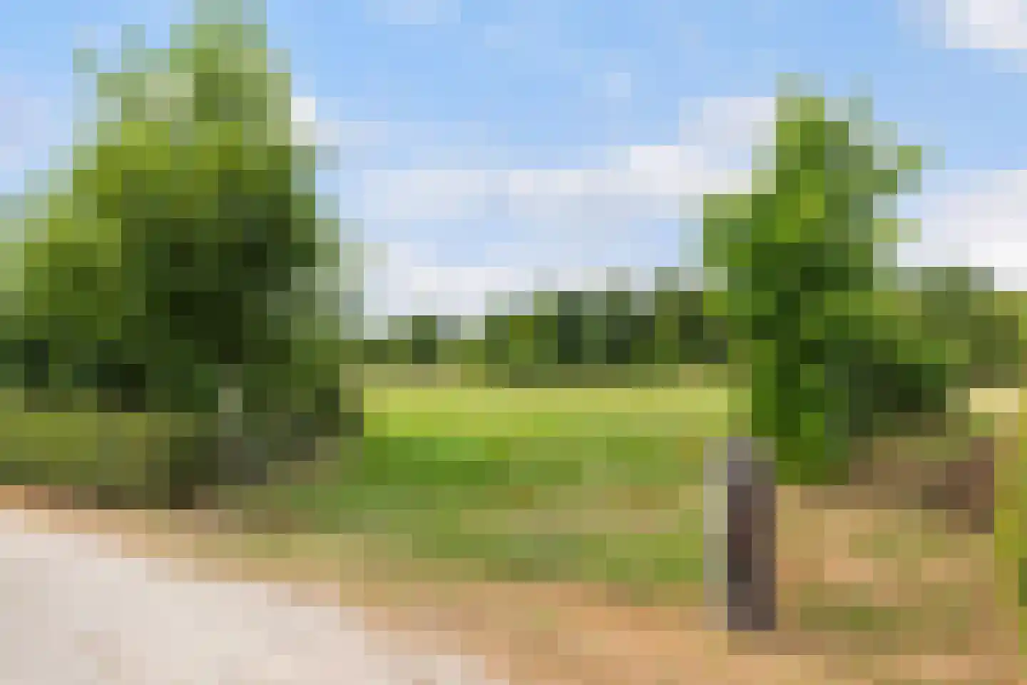 Kraaienjagersweg 12 Beemte Broekland thumbnail 69