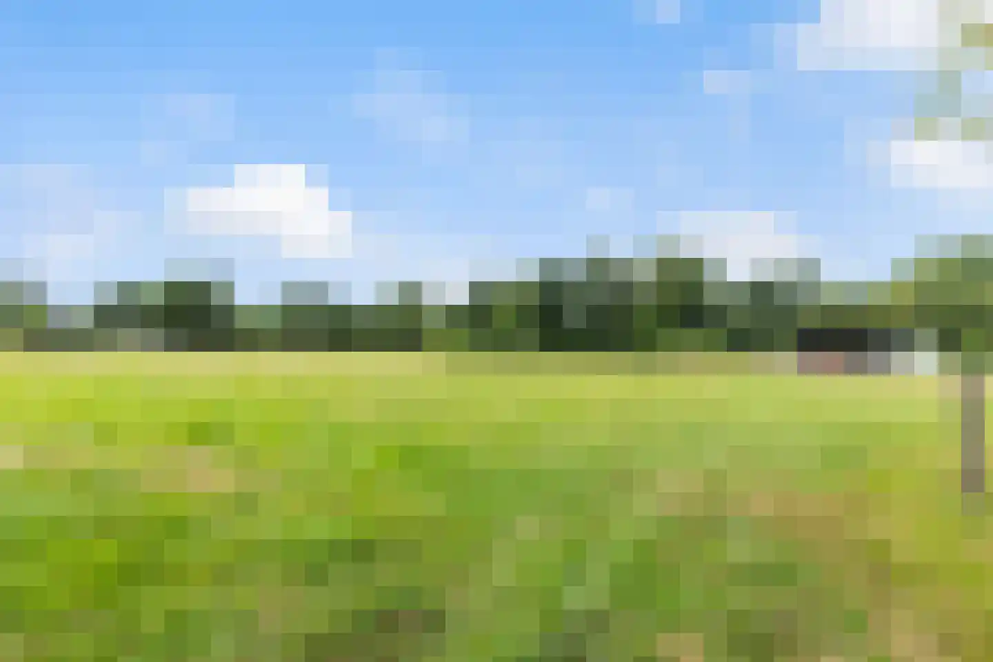 Kraaienjagersweg 12 Beemte Broekland thumbnail 72
