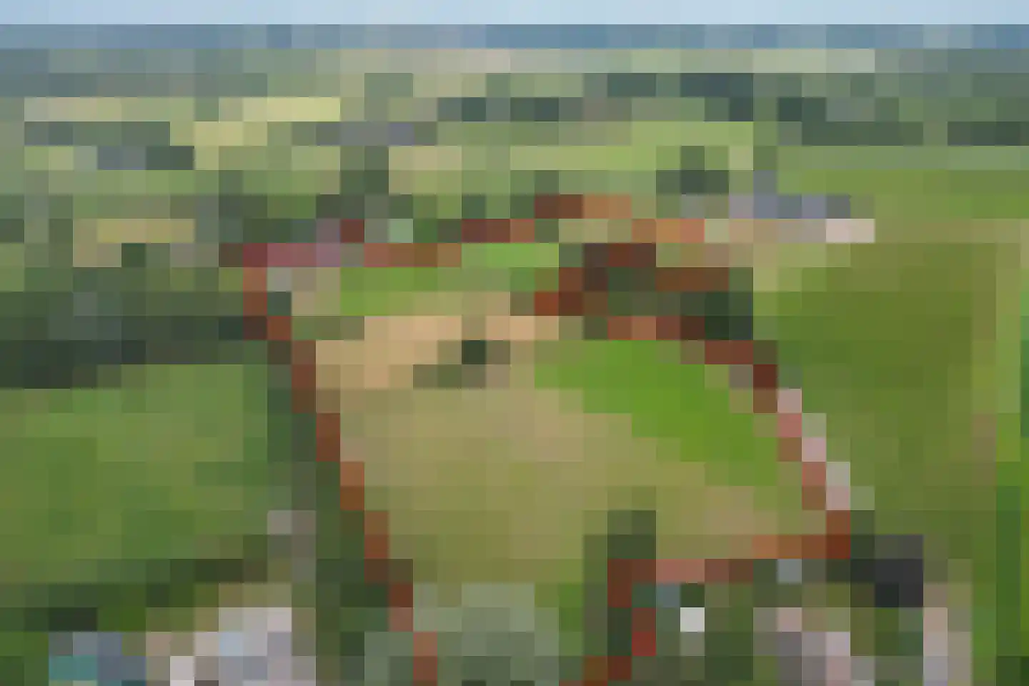 Kraaienjagersweg 12 Beemte Broekland thumbnail 73