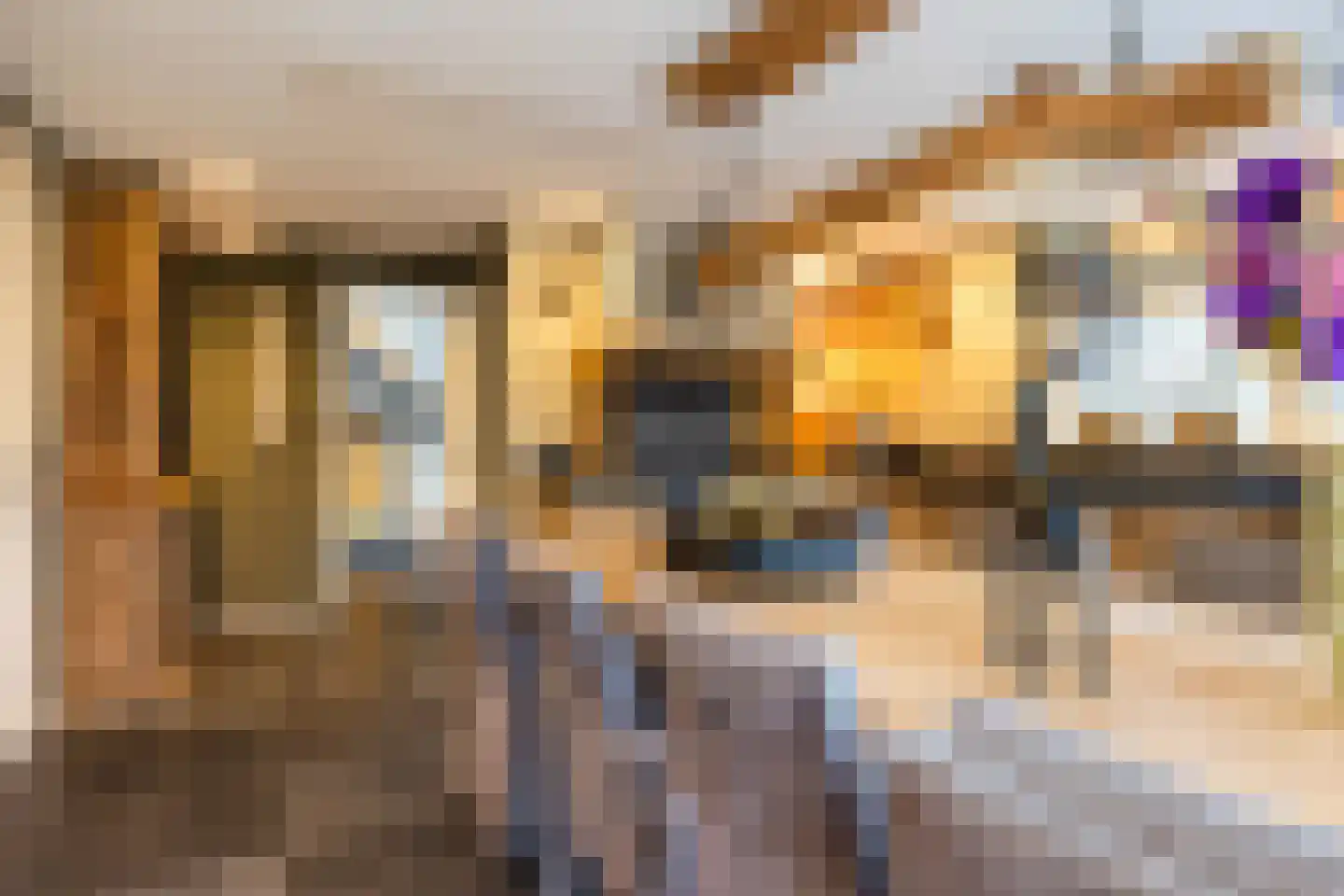 Kraaienjagersweg 16 Beemte Broekland thumbnail 11