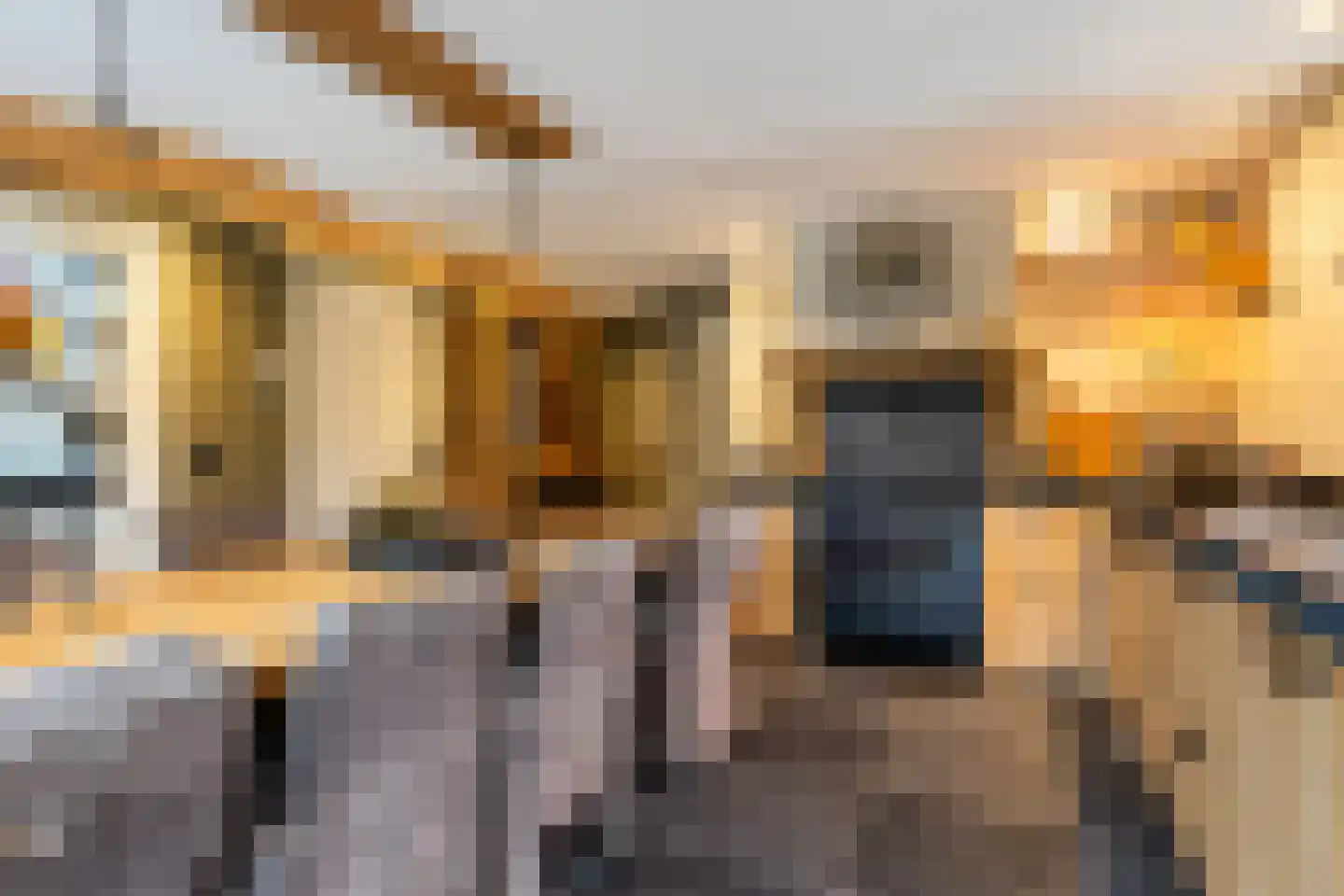 Kraaienjagersweg 16 Beemte Broekland thumbnail 12