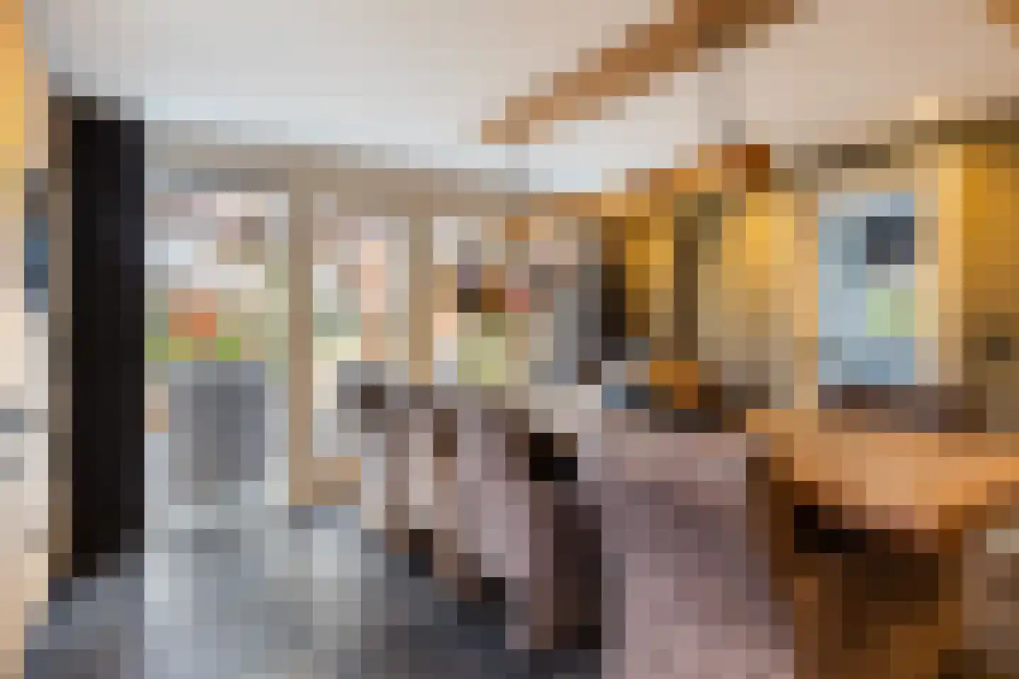 Kraaienjagersweg 16 Beemte Broekland thumbnail 13