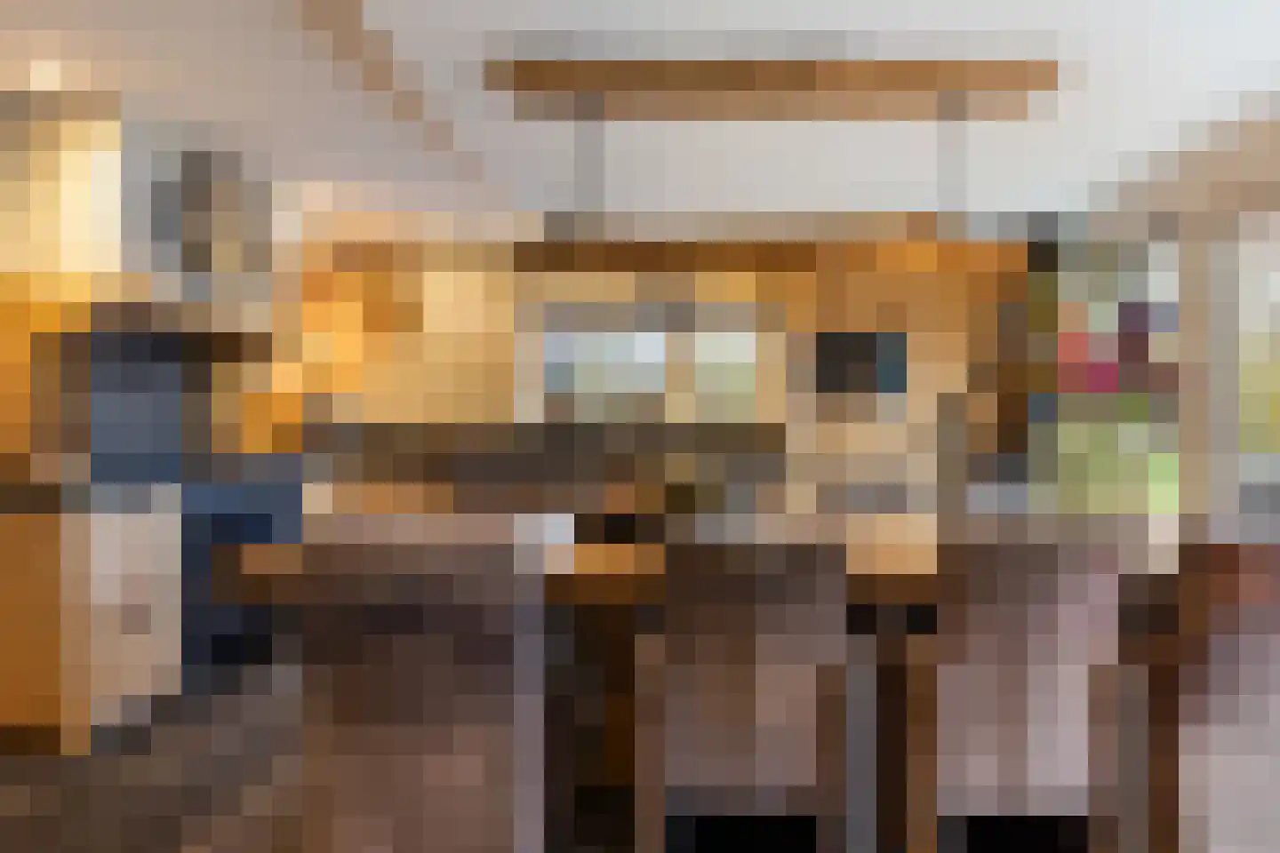Kraaienjagersweg 16 Beemte Broekland thumbnail 14