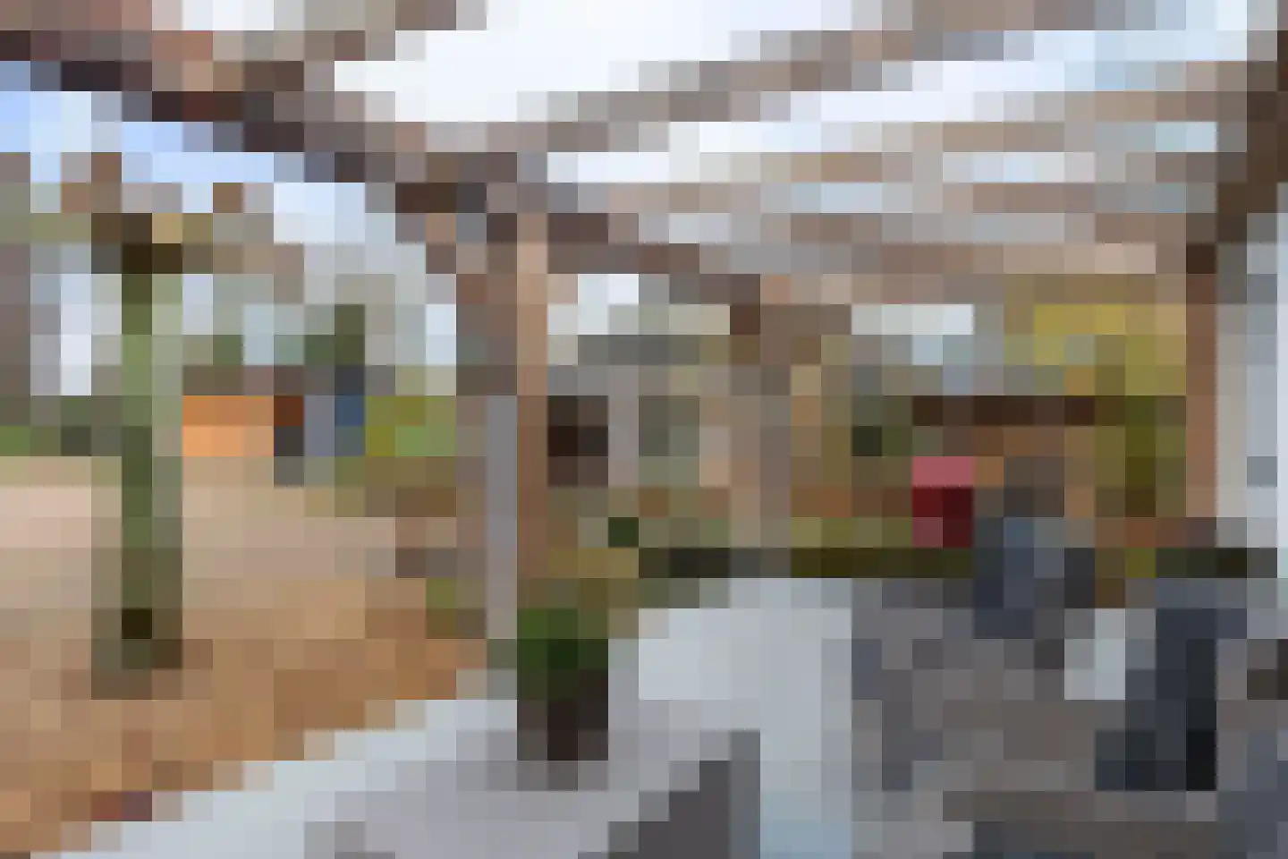 Kraaienjagersweg 16 Beemte Broekland thumbnail 34