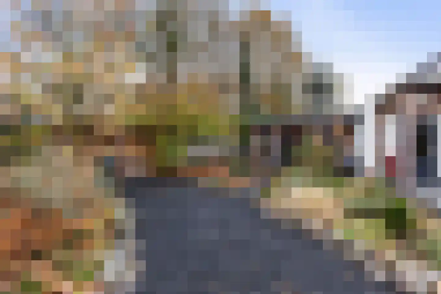 Kraaienjagersweg 16 Beemte Broekland thumbnail 39