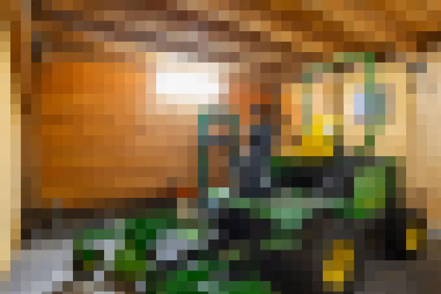 Kraaienjagersweg 16 Beemte Broekland thumbnail 47