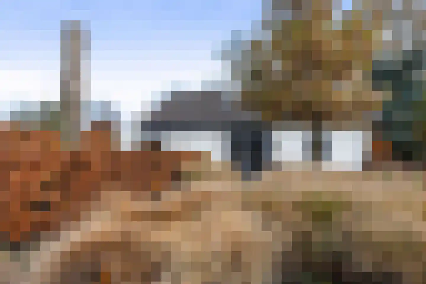 Kraaienjagersweg 16 Beemte Broekland thumbnail 5