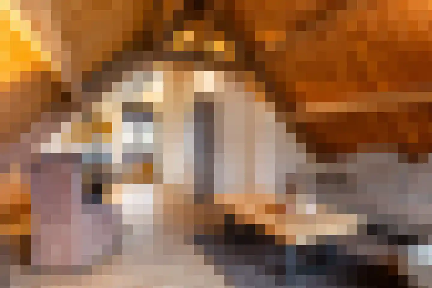 Kraaienjagersweg 16 Beemte Broekland thumbnail 51