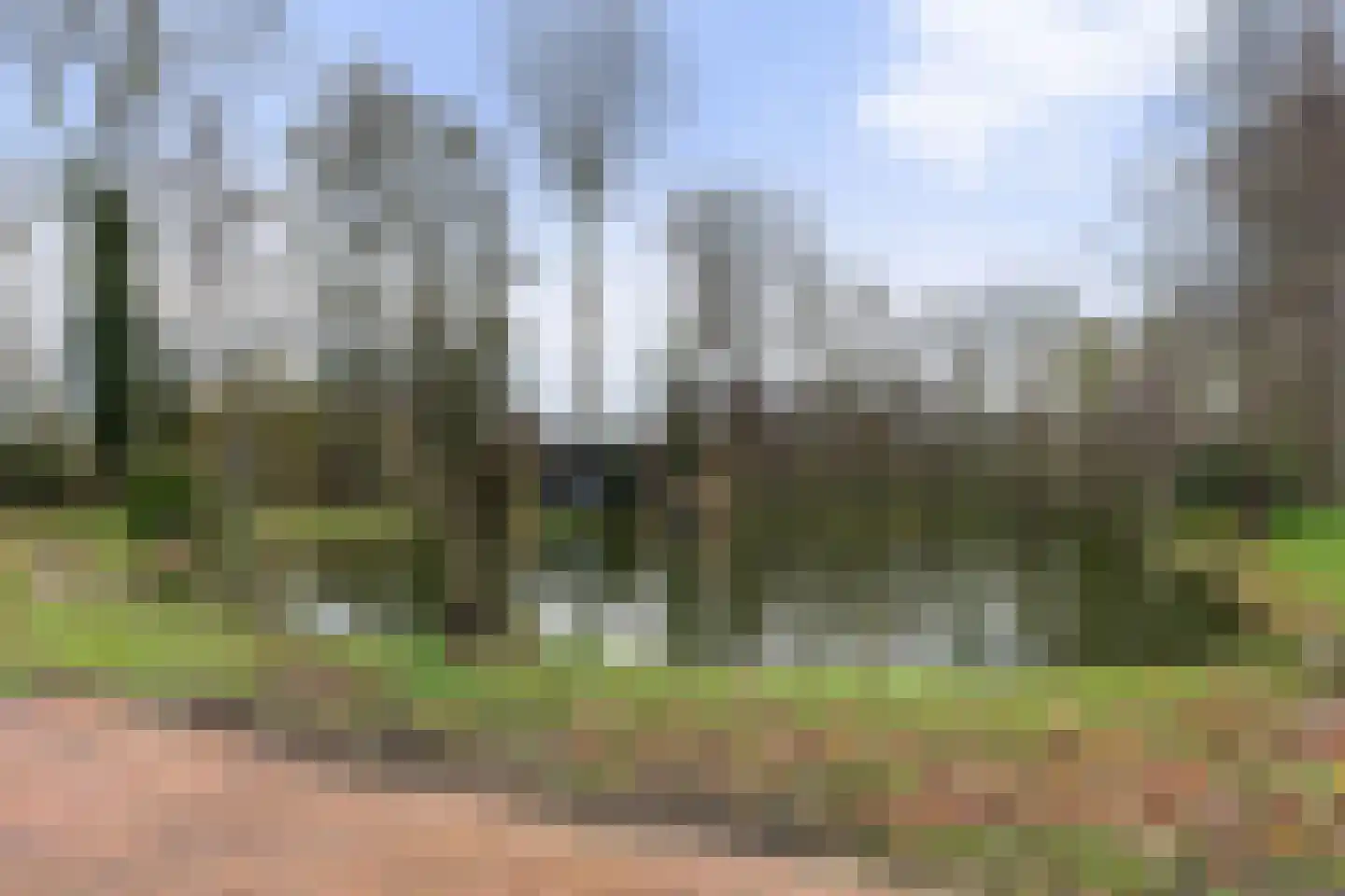 Kraaienjagersweg 16 Beemte Broekland thumbnail 60