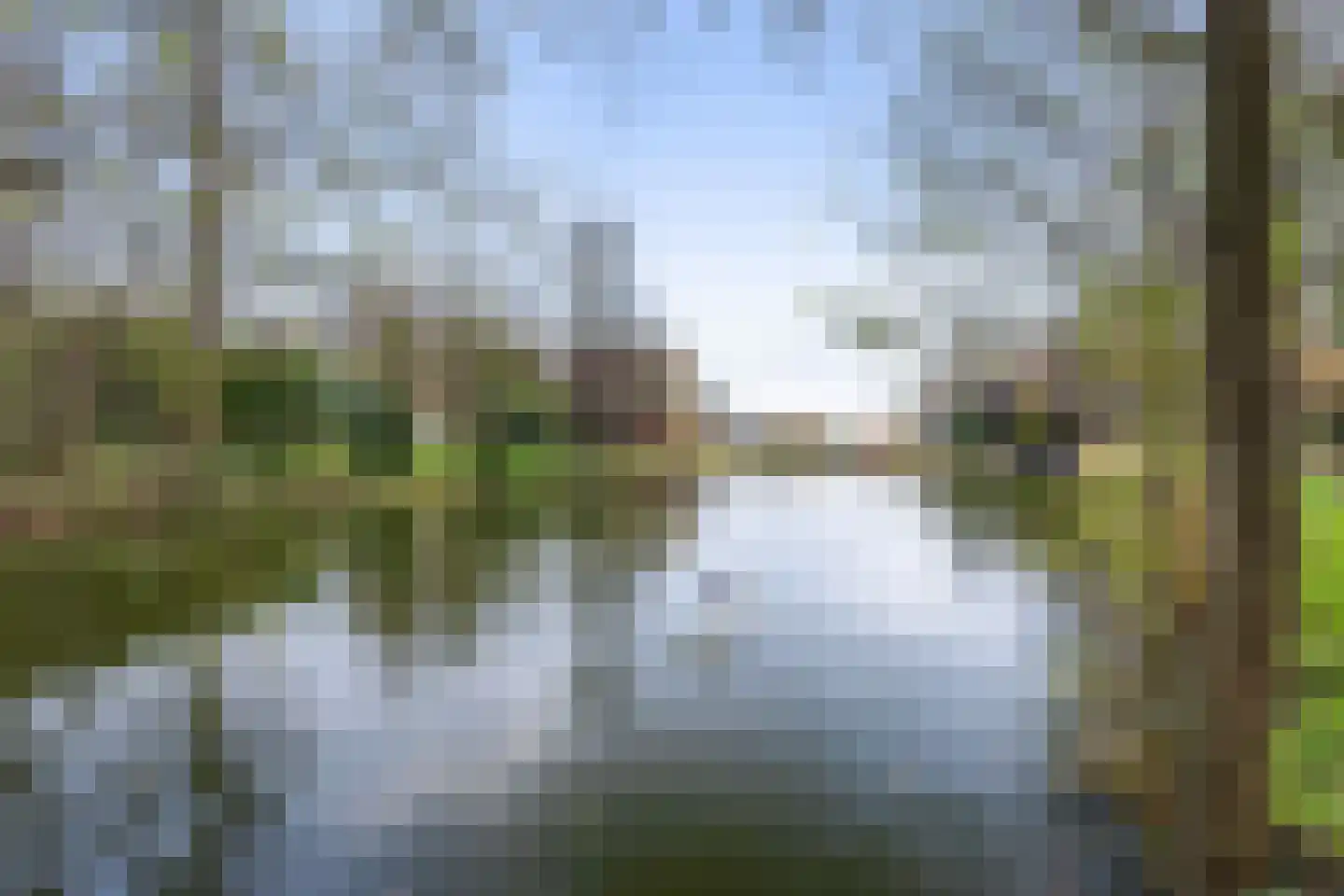 Kraaienjagersweg 16 Beemte Broekland thumbnail 65